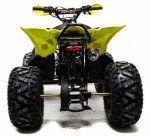 Квадроцикл MOTOLAND 125 Raptor — изображение 4