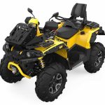 Квадроцикл СТЕЛС ATV 1000G Guepard Trophy EPS 2.0 (ПСМ)
