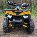 Квадроцикл MOTOLAND 200 Wild Track X — изображение 3