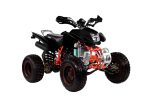 Квадроцикл IRBIS ATV250S — изображение 3