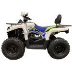 Квадроцикл MOTOLAND Shark 200 — изображение 4