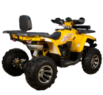 Квадроцикл AVANTIS Hunter 200 BIG Premium (Баланс. вал) — изображение 13