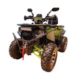 Квадроцикл FXMOTO Wasp 200