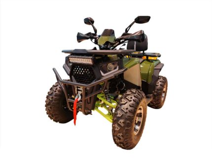 Квадроцикл FXMOTO Wasp 200