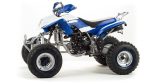 Квадроцикл MOTOLAND 250 Dakar — изображение 9