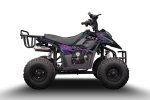 Квадроцикл RAPTOR 150 Universal — изображение 3