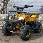 Квадроцикл YACOTA Smarty 110 — изображение 2