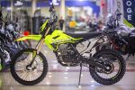 Мотоцикл JHL S004 R 300 (4T 175FMM) ENDURO — изображение 3