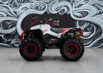 Квадроцикл SHARMAX Spyder 1100 — изображение 19
