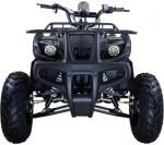 Квадроцикл AVANTIS Hunter 150 Lite — изображение 6