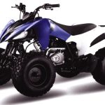 Квадроцикл MOTOLAND 150S