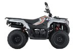 Квадроцикл LONCIN TRV350 Pro 22 — изображение 2