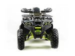 Квадроцикл MOTOLAND 200 Wild Track Pro — изображение 2