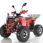 Квадроцикл WELS Thunder EVO X