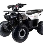 Квадроцикл MOTOLAND Storm A 125