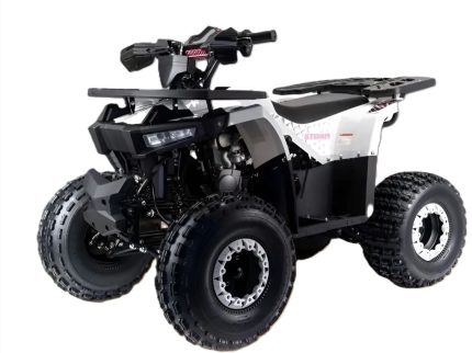 Квадроцикл MOTOLAND Storm A 125