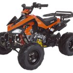 Квадроцикл ABM Scorpion 125A