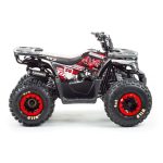 Квадроцикл MOTOLAND Wild 150 — изображение 2