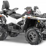 Квадроцикл СТЕЛС ATV 800G Guepard Trophy CVTech (канадский вариатор) (ПСМ)