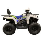 Квадроцикл MOTOLAND Shark 200 — изображение 3