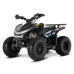 Квадроцикл SHARMAX Cross 180 RX