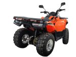Квадроцикл MOTOLAND ATV 200 Max — изображение 5