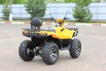 Квадроцикл IRBIS ATV200 Premium — изображение 2