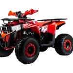 Квадроцикл MOTOLAND Shark 125