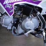 Мотоцикл PITONMOTO PX3 110EA 14/12 PITBIKE — изображение 26