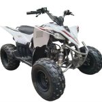 Квадроцикл MIKILON Rapide 120 EFI