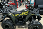 Квадроцикл YAMAHA Shark 175 — изображение 11
