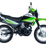 Мотоцикл кроссовый эндуро RACER Panther Lite RC250GY-C2A