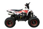 Квадроцикл MOTAX Gekkon 90cc — изображение 4