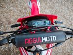 Мотоцикл кроссовый эндуро REGULMOTO Holeshot Red Edition — изображение 14