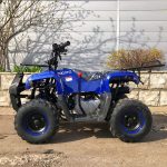 Квадроцикл YACOTA Smarty 110 — изображение 4