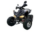 Квадроцикл MOTORHEAD RockIt 200