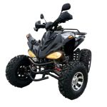 Квадроцикл MOTORHEAD RockIt 200