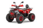 Квадроцикл WELS Thunder Trail 125 PRO — изображение 2