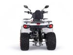Квадроцикл MOTAX ATV Grizlik 200 Ultra — изображение 5