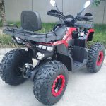 Квадроцикл RACER Gladiator 200 — изображение 6