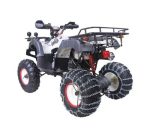 Квадроцикл WELS Thunder 200 Lux — изображение 3