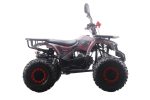 Квадроцикл MOTAX ATV Grizlik Premium 125cc — изображение 16