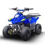 Квадроцикл TIGER 150 Universal RX