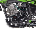 Мотоцикл кроссовый эндуро SHARMAX MOTORS Sport 280 PR (2023) — изображение 15