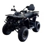 Квадроцикл BISON Forest 200 Lux