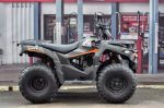 Квадроцикл LONCIN Overland 200 — изображение 14