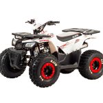 Квадроцикл MOTOLAND 125 Wild