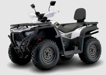 Квадроцикл BASHAN Kardan 300 Basic