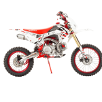 Мотоцикл MOTOLAND CRF19 PITBIKE