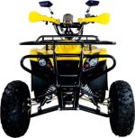 Квадроцикл AVANTIS Patriot M — изображение 2